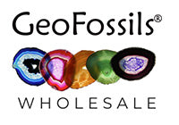 GeoFossils Wholesale